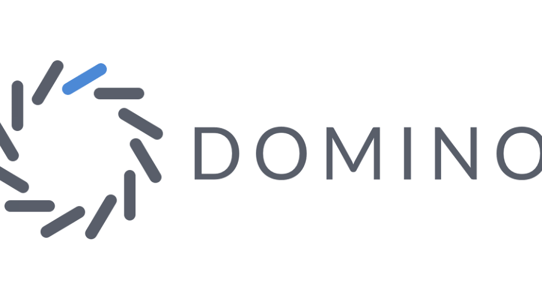 Domino Data Lab